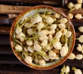 鮮茉莉花怎么炮制成茶？